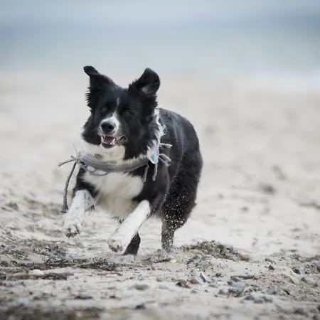 White Pearl 1.01 * Timmendorfer Strand