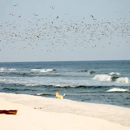 Apartamento White Pearl 1.01